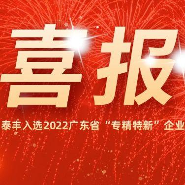 熱烈祝賀泰豐空調(diào)入選2022廣東省“專精特新”企業(yè)！